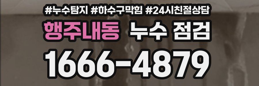 행주내동 누수 점검