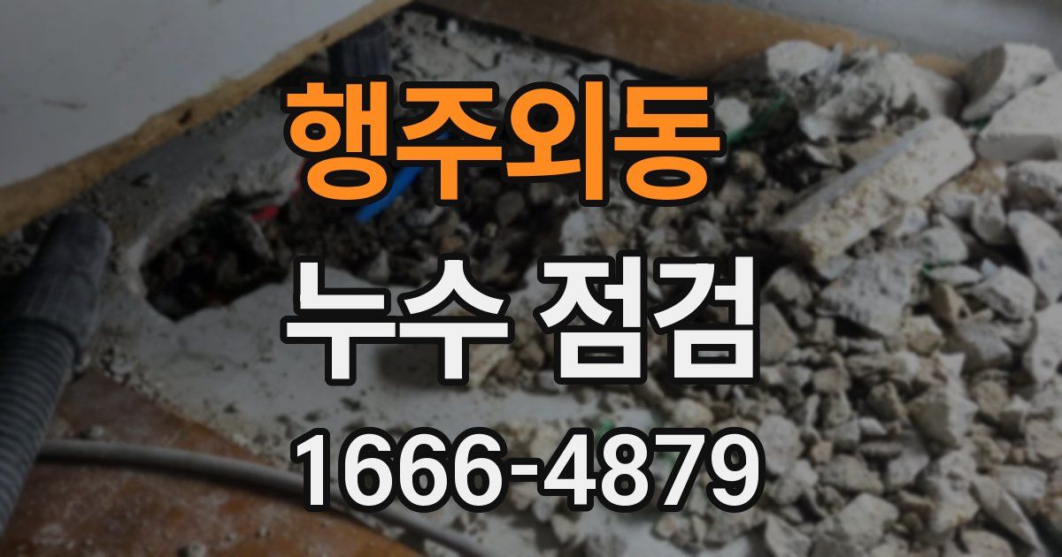 행주외동 누수 점검
