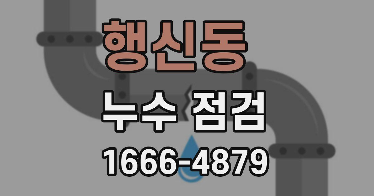 행신동 누수 점검