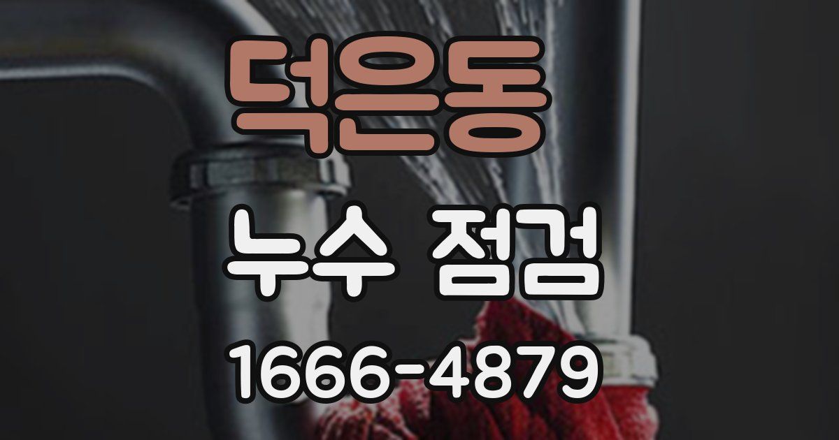 덕은동 누수 점검