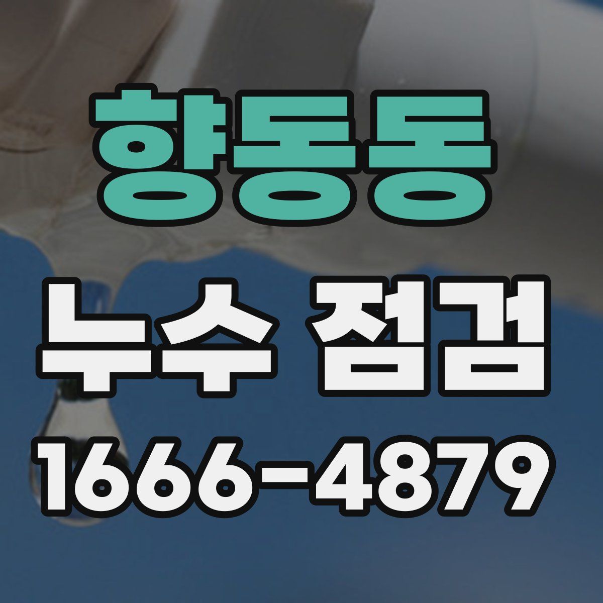 향동동 누수 점검