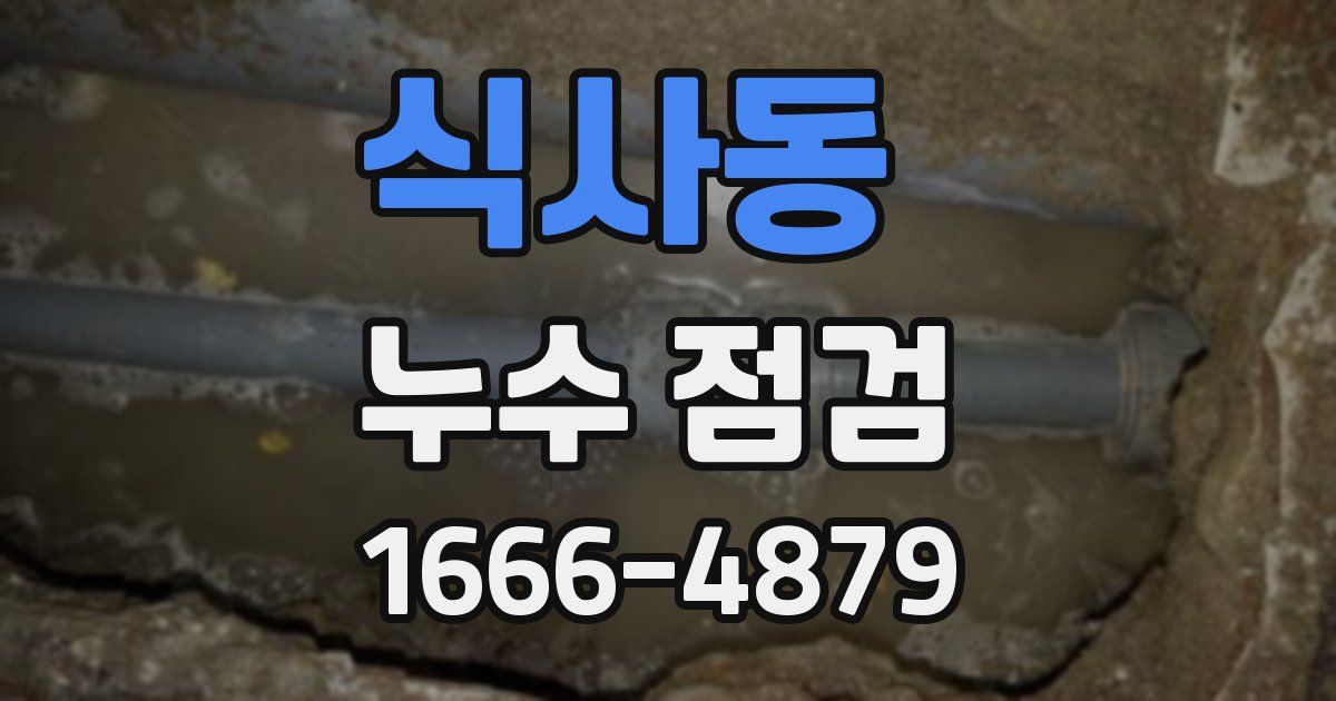 식사동 누수 점검