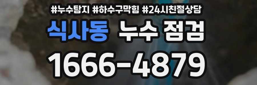 식사동 누수 점검