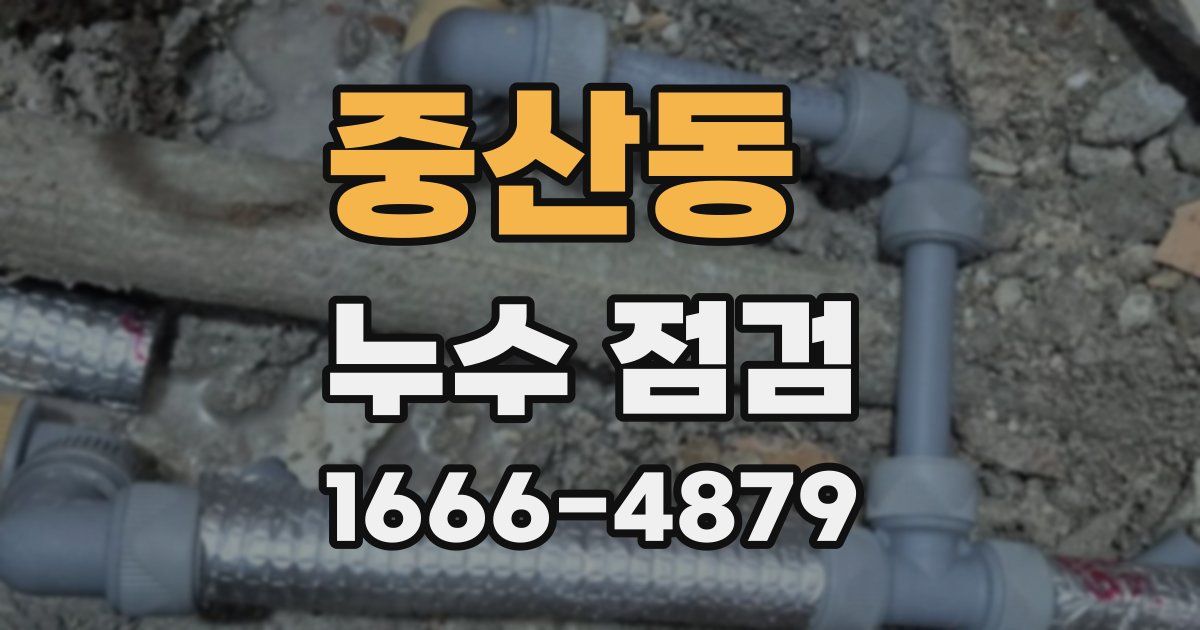 중산동 누수 점검