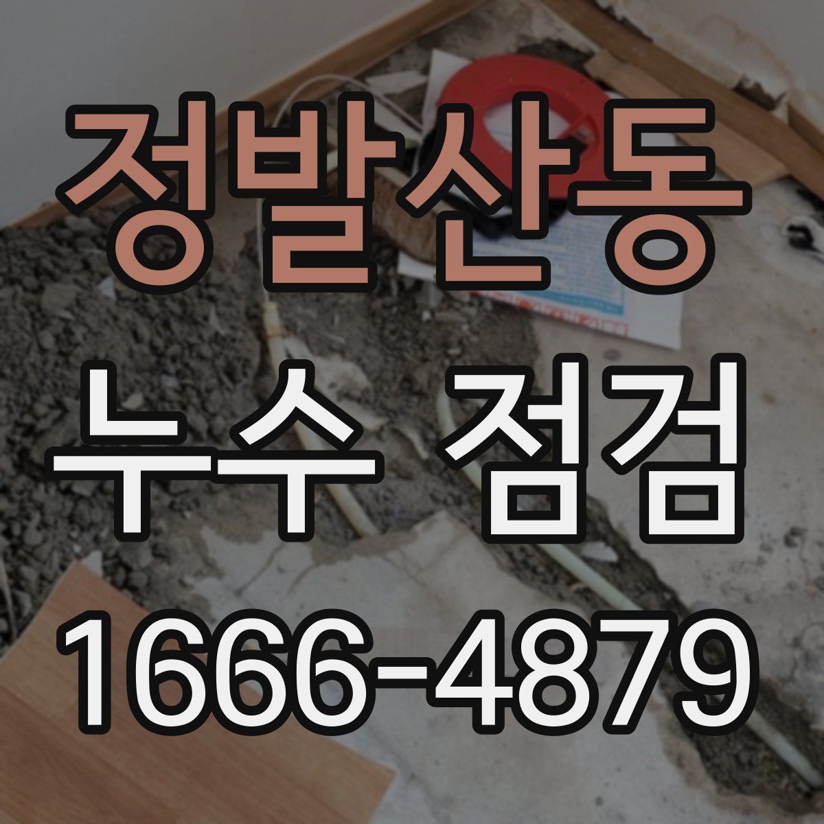 정발산동 누수 점검