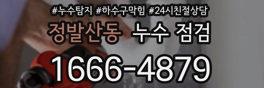 정발산동 누수 점검