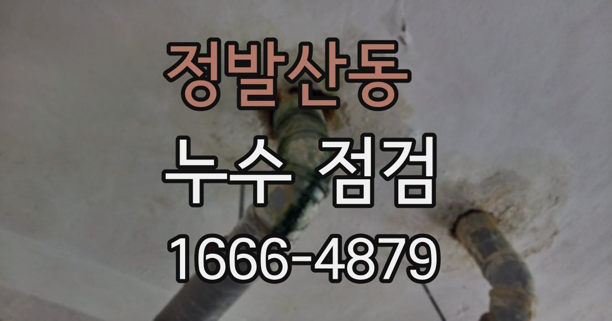 정발산동 누수 점검