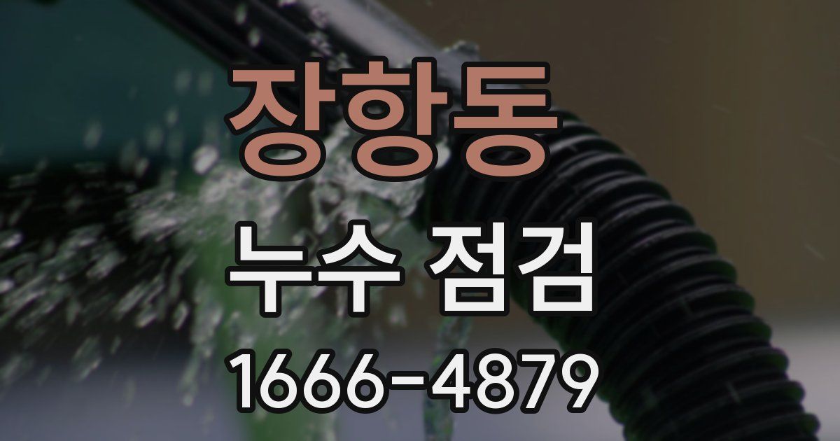 장항동 누수 점검