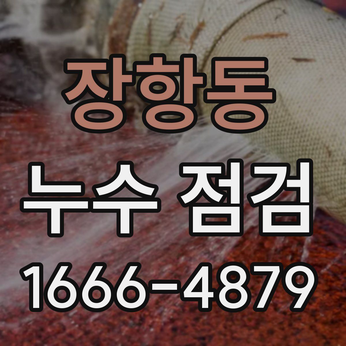 장항동 누수 점검