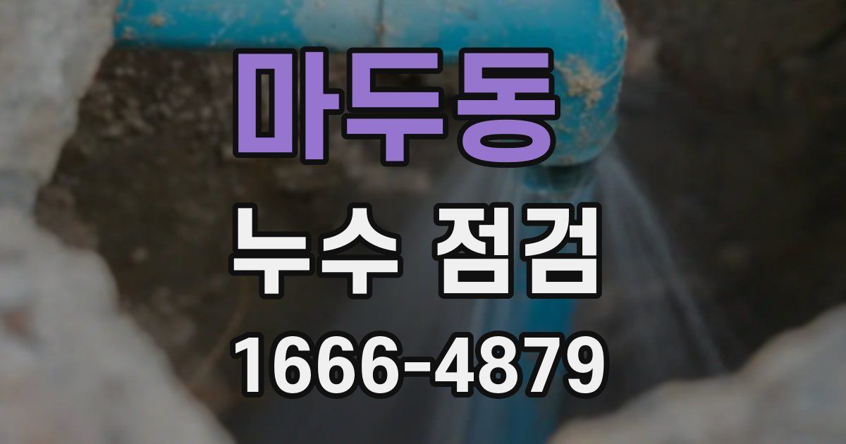 마두동 누수 점검