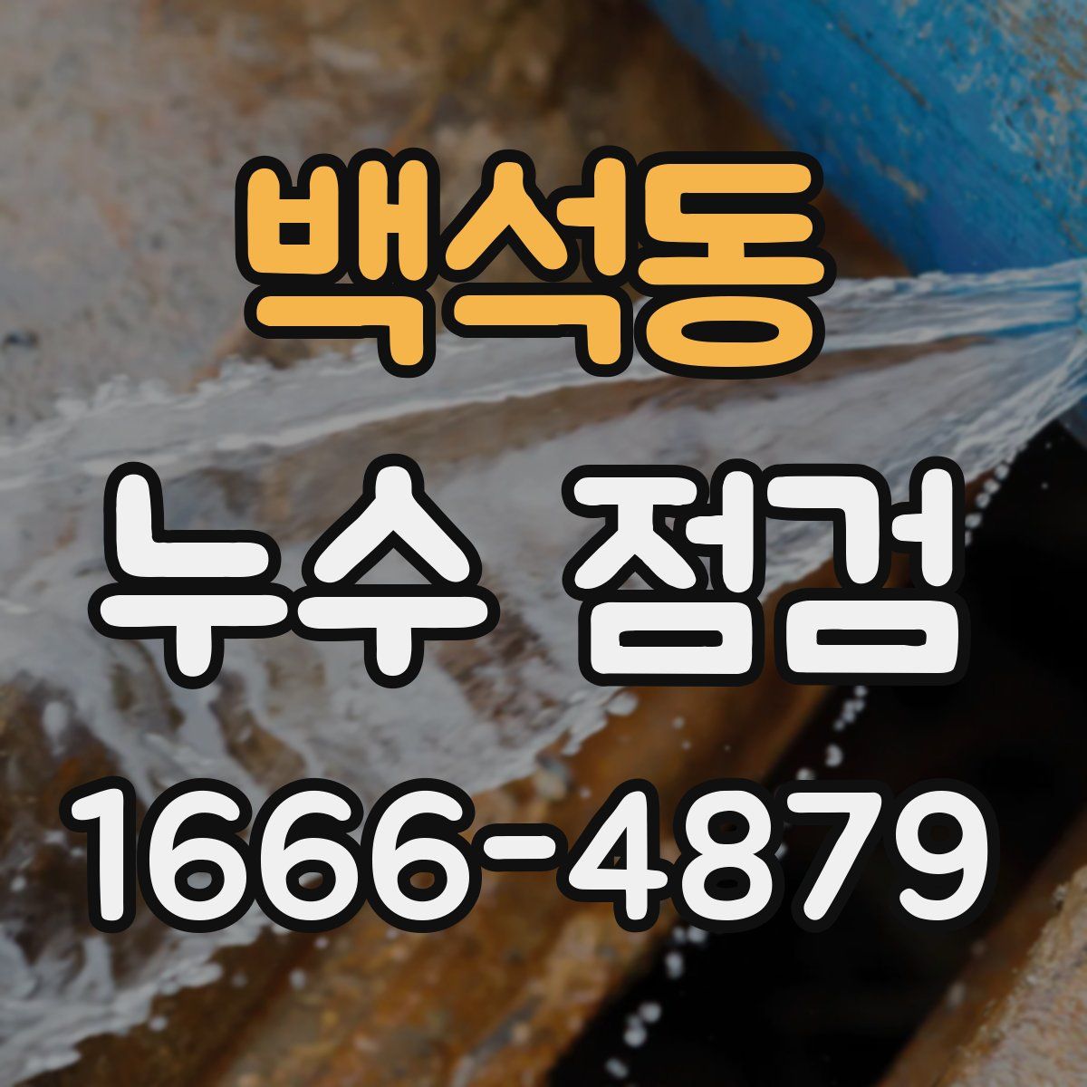 백석동 누수 점검