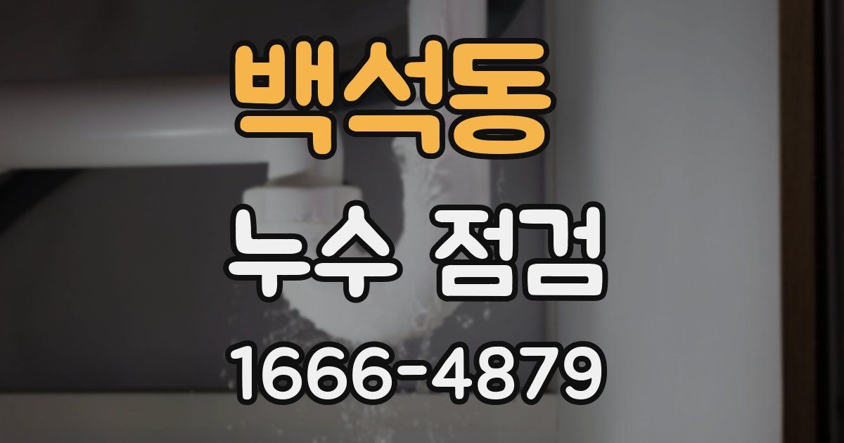 백석동 누수 점검