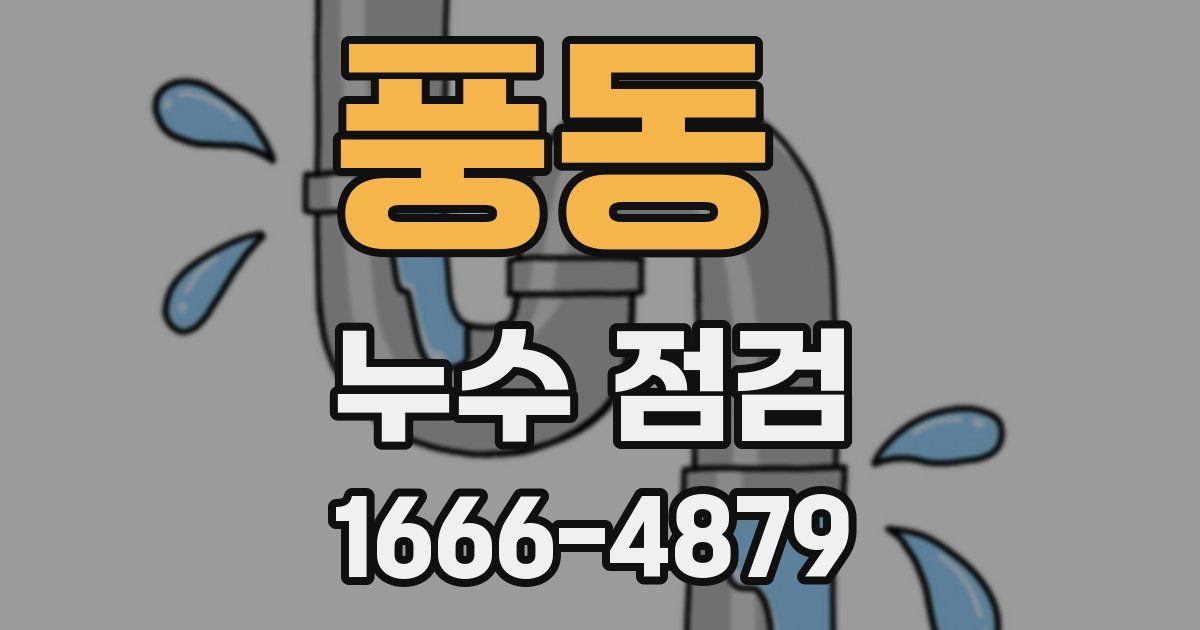 풍동 누수 점검
