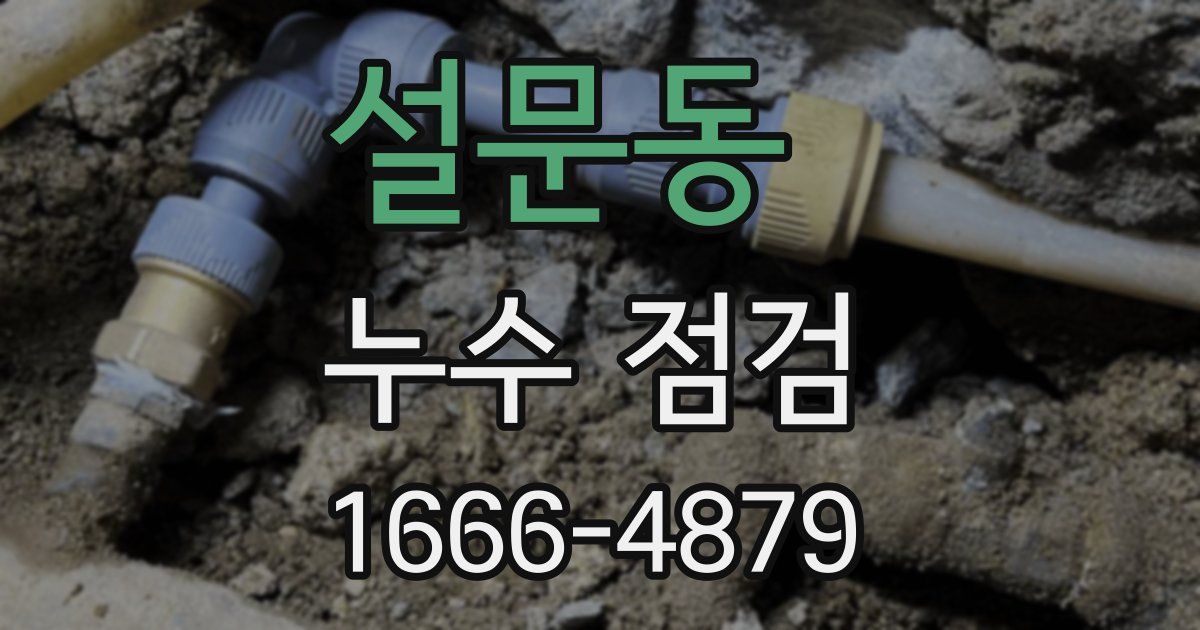 설문동 누수 점검