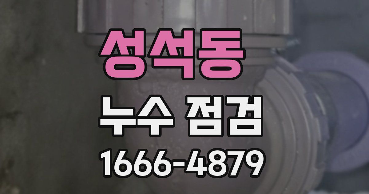 성석동 누수 점검