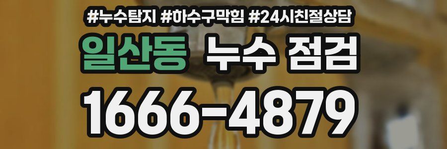 일산동 누수 점검