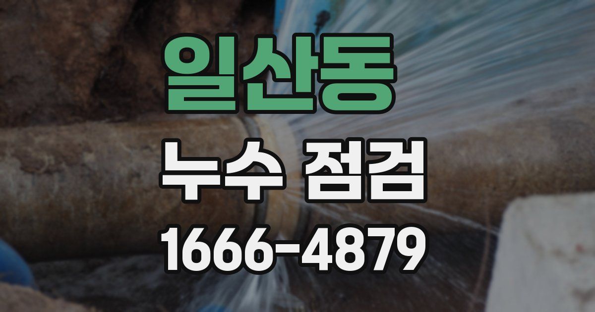 일산동 누수 점검