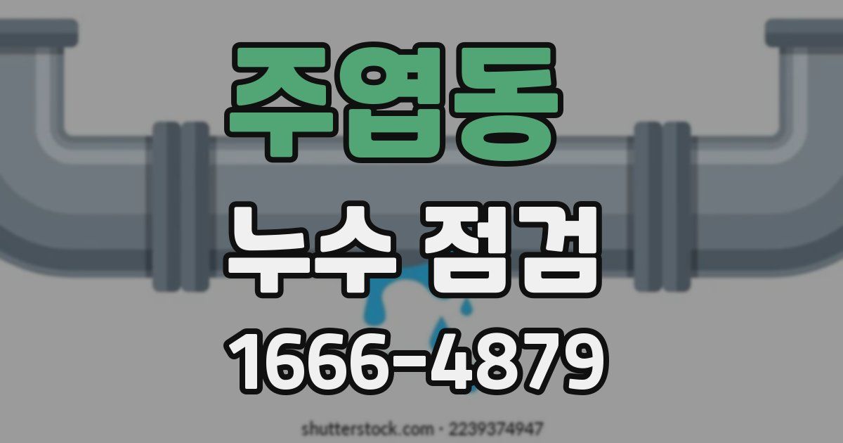 주엽동 누수 점검