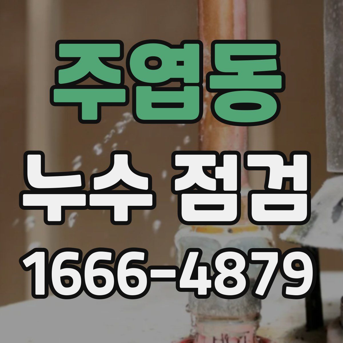 주엽동 누수 점검