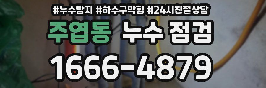 주엽동 누수 점검