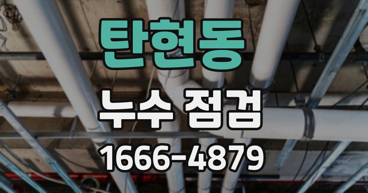 탄현동 누수 점검