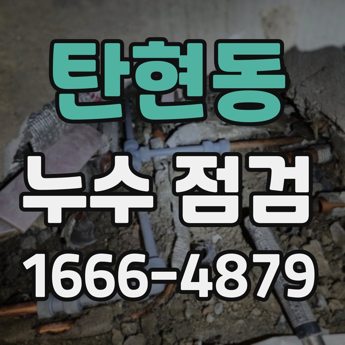 탄현동 누수 점검