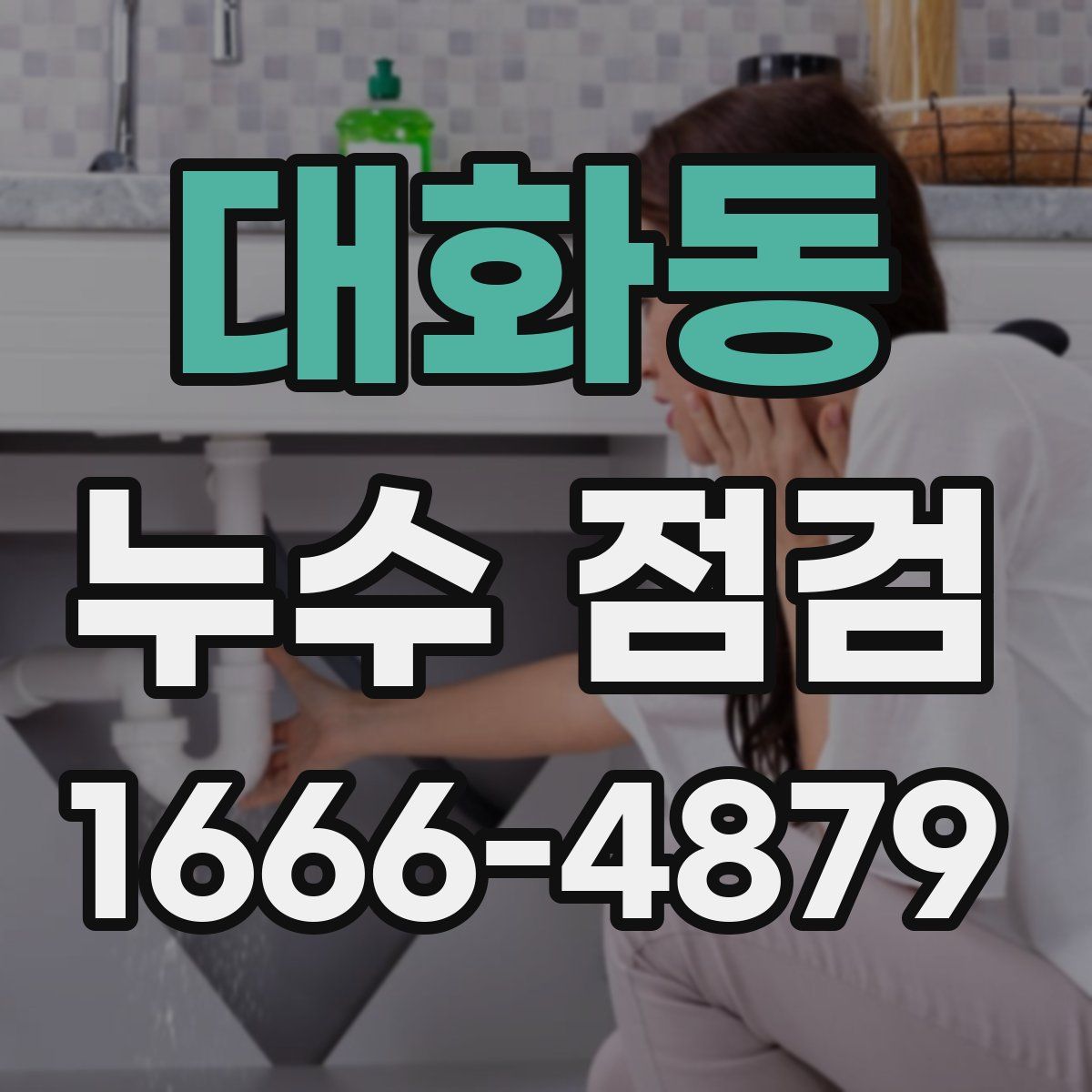대화동 누수 점검