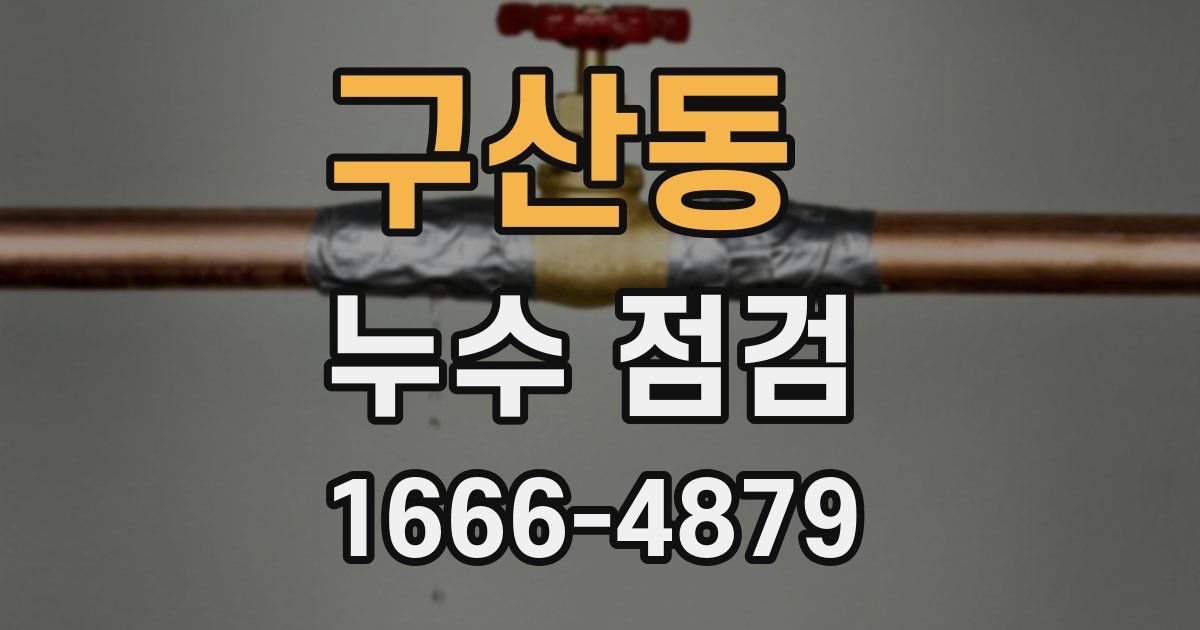 구산동 누수 점검