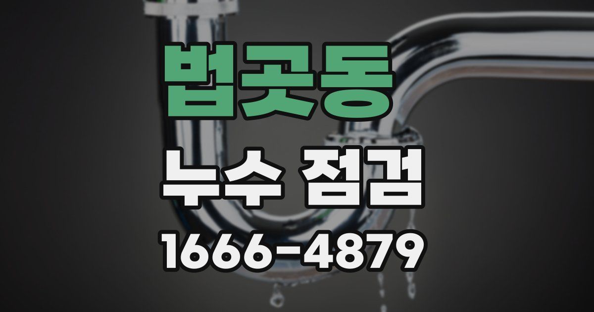 법곳동 누수 점검