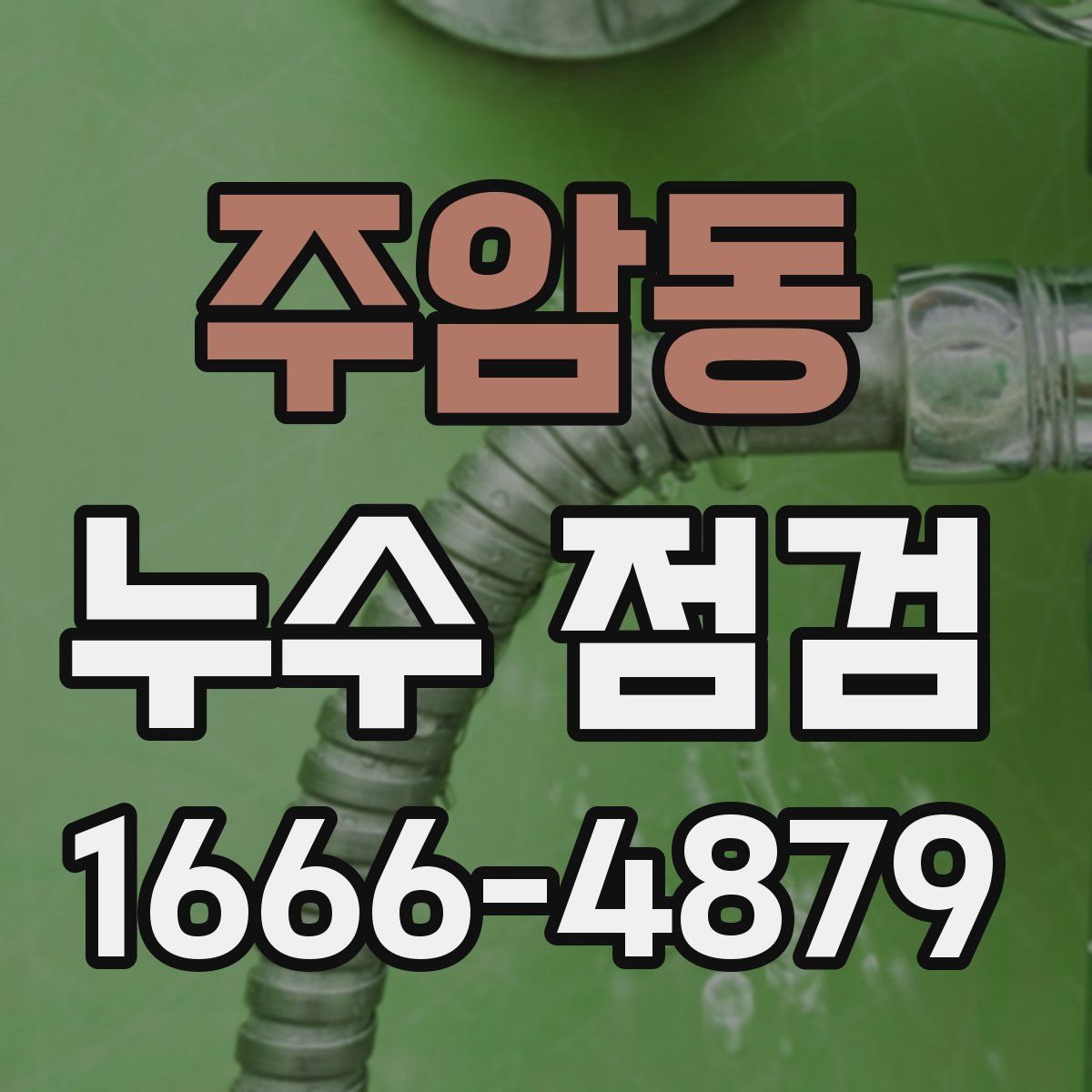 주암동 누수 점검
