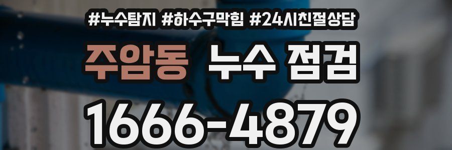 주암동 누수 점검