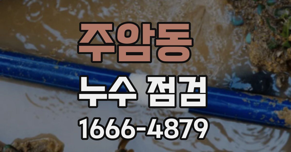 주암동 누수 점검