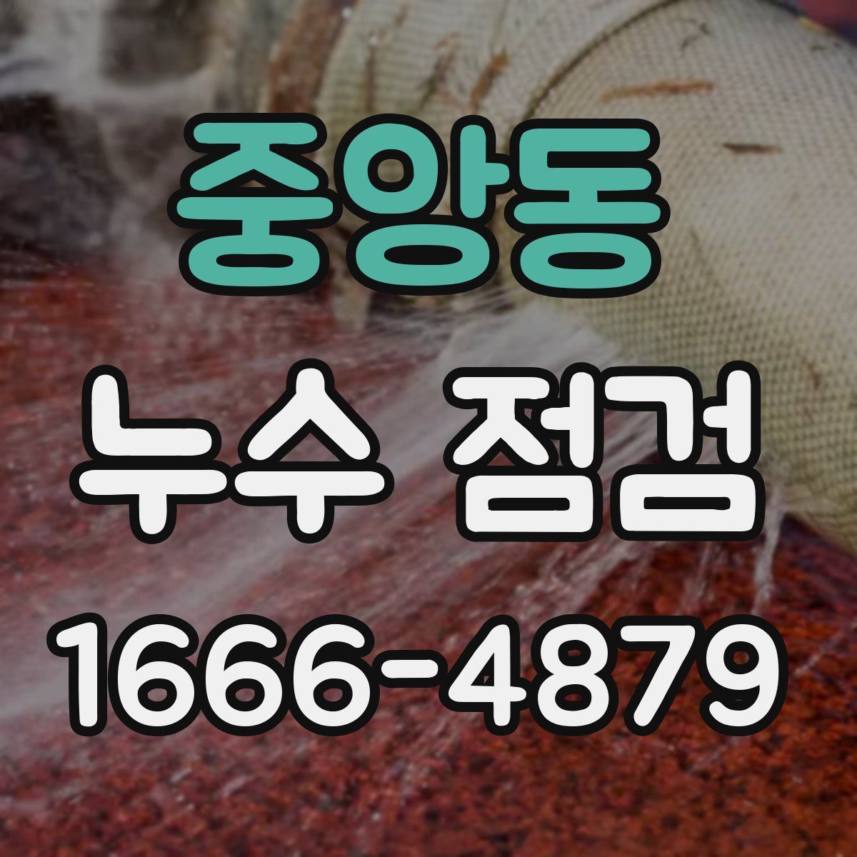 중앙동 누수 점검