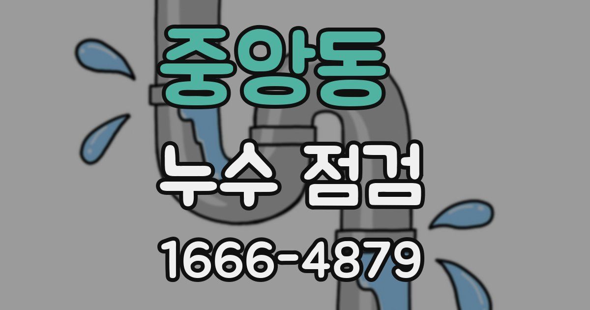 중앙동 누수 점검