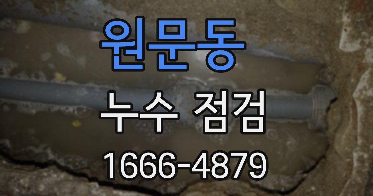 원문동 누수 점검