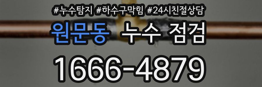 원문동 누수 점검