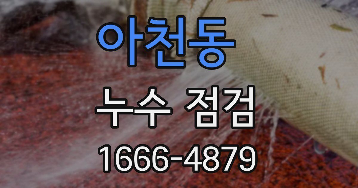 아천동 누수 점검