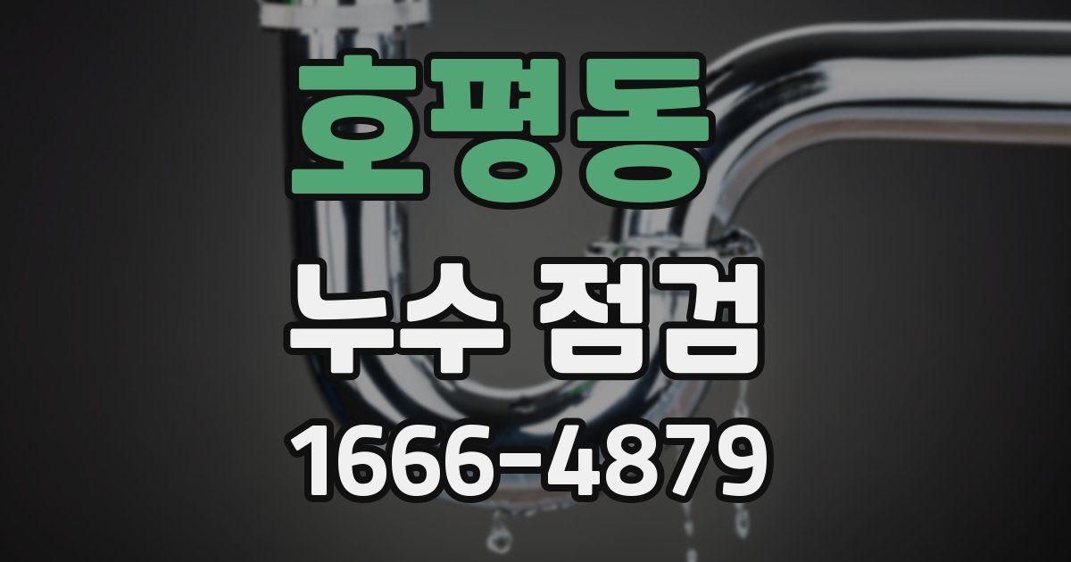 호평동 누수 점검