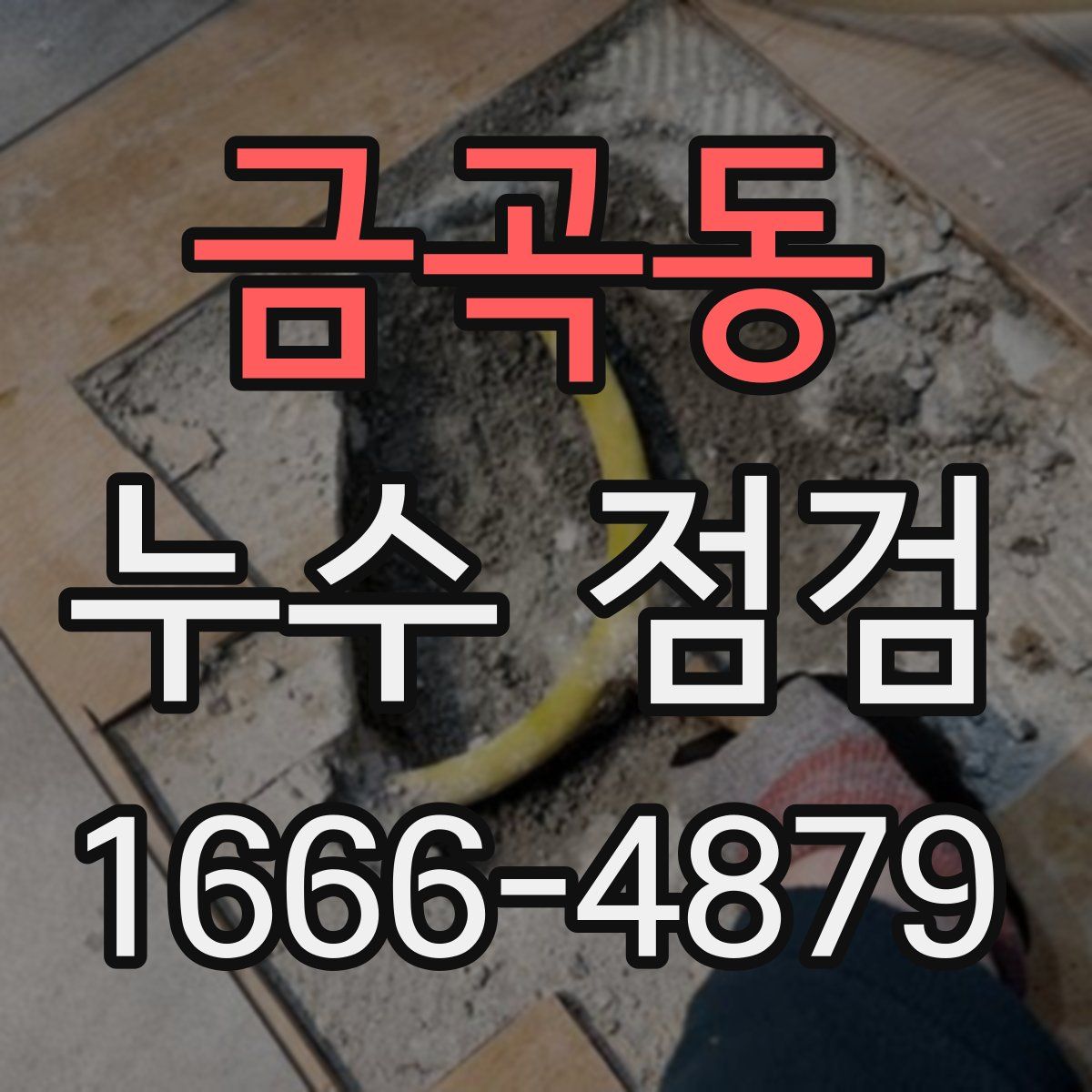 금곡동 누수 점검