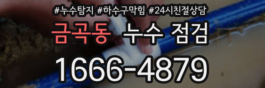 금곡동 누수 점검