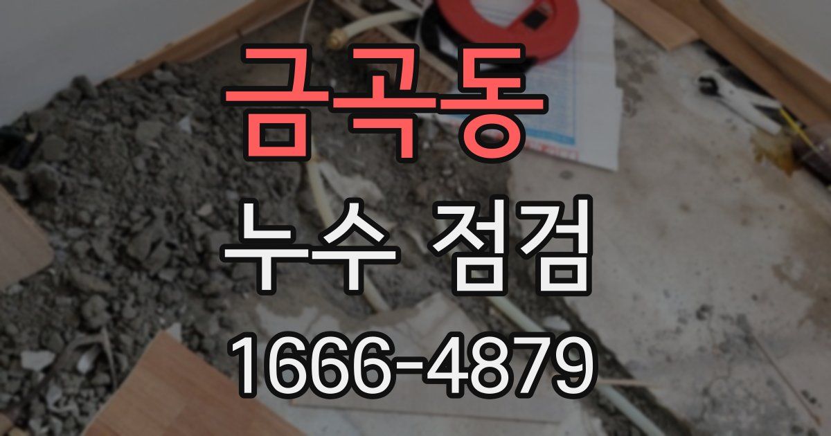금곡동 누수 점검