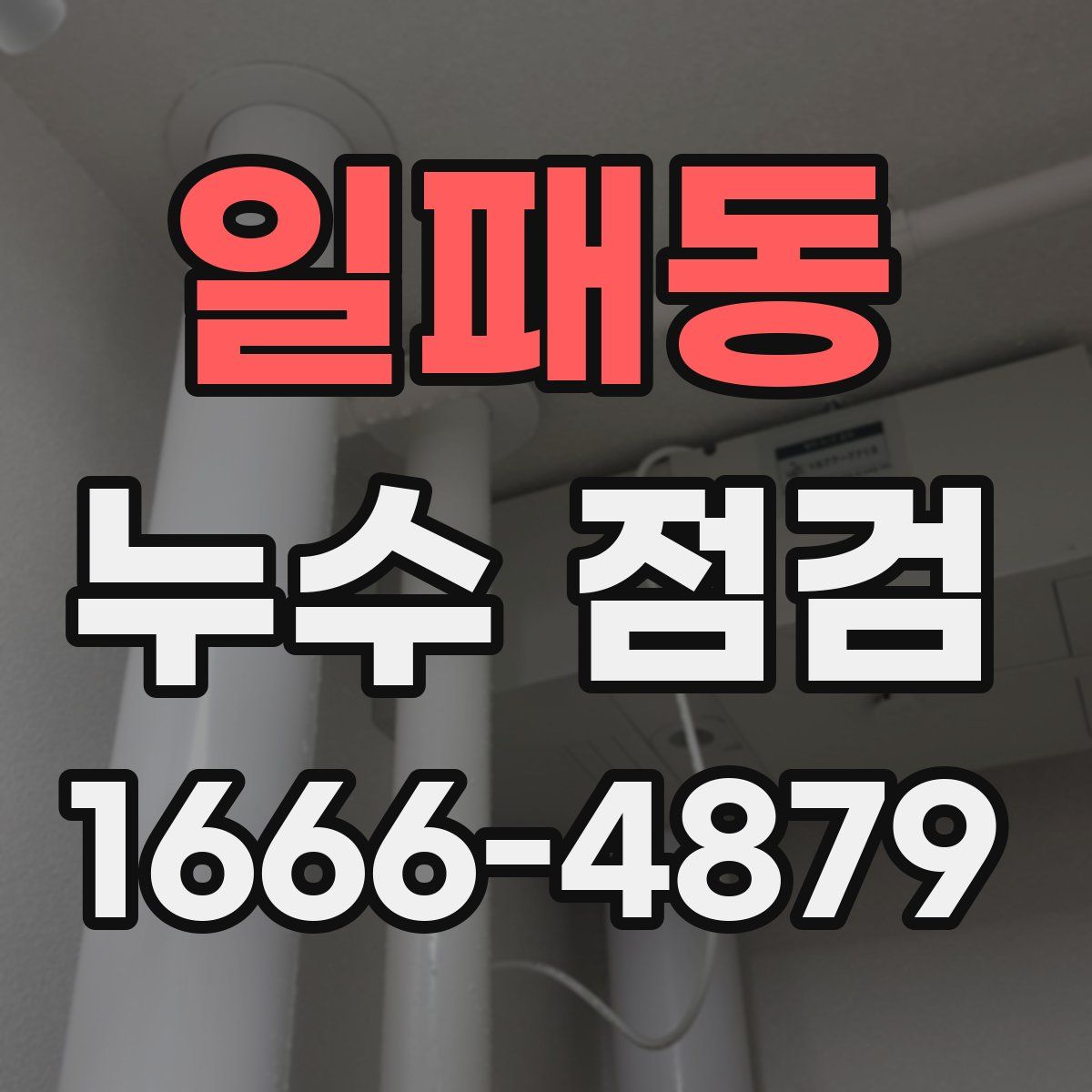 일패동 누수 점검
