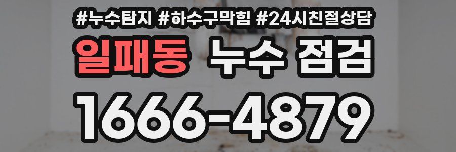 일패동 누수 점검
