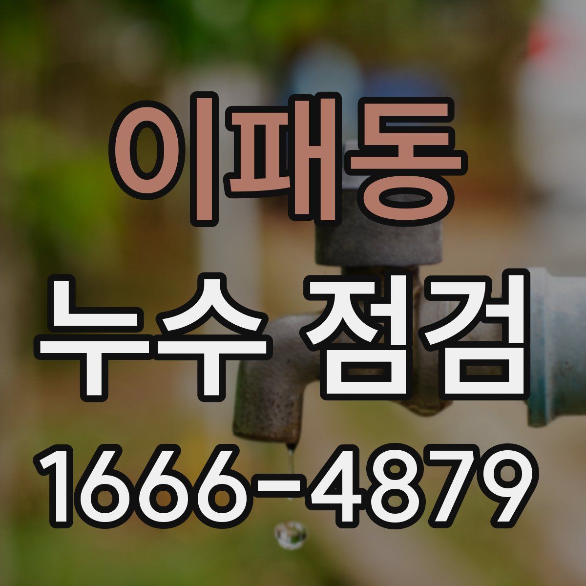 이패동 누수 점검