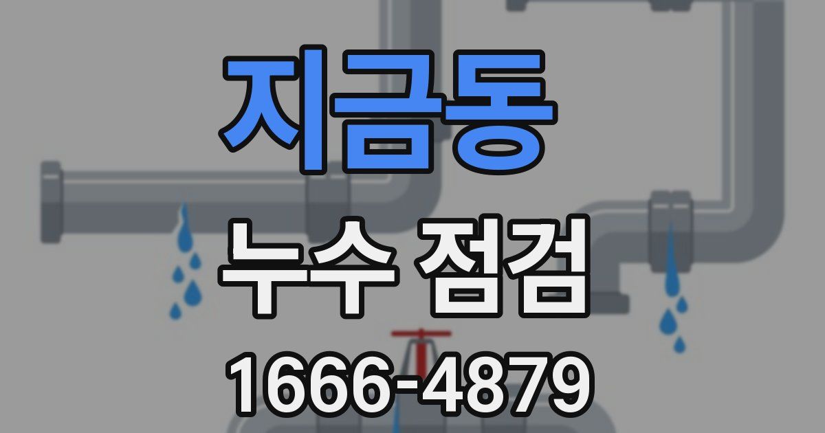지금동 누수 점검