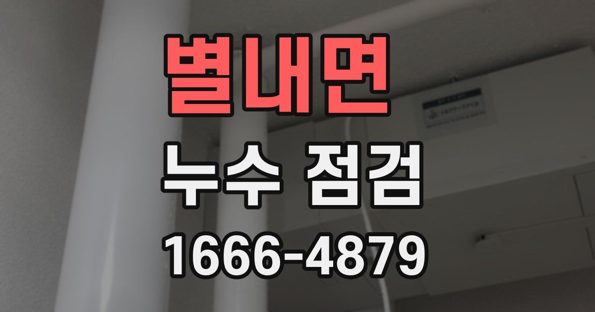 별내면 누수 점검