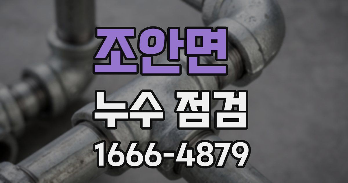 조안면 누수 점검