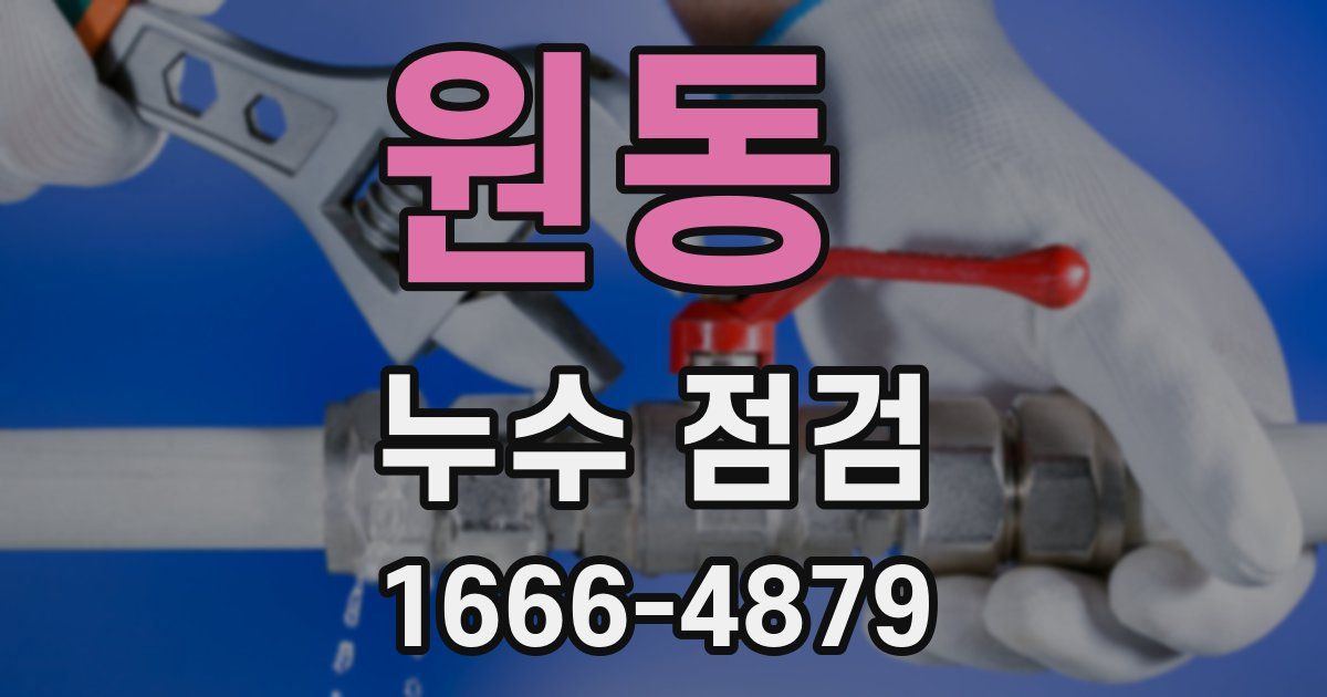 원동 누수 점검