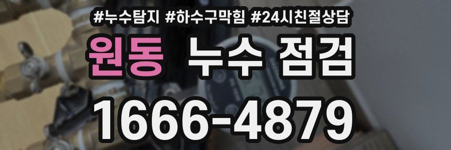원동 누수 점검