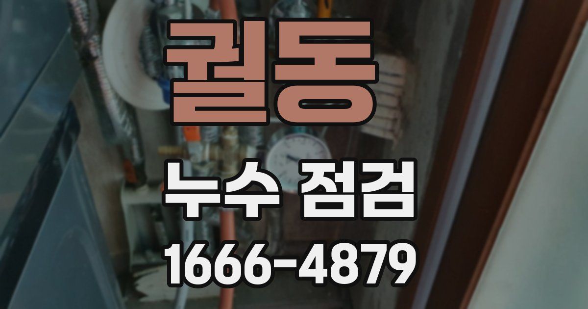 궐동 누수 점검